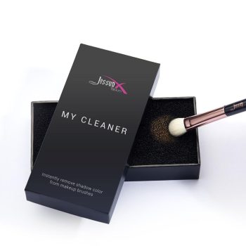 BRUSH CLEANER - DRY SPONGE A001